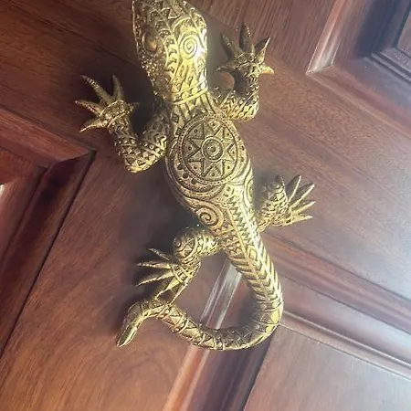Salamandra Appartement
