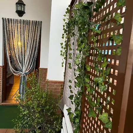 Salamandra Appartement