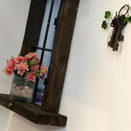 Salamandra Lejlighed