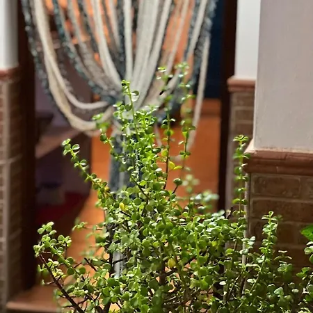 Appartement Salamandra *