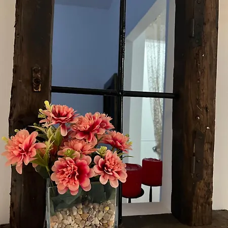 Salamandra 아파트