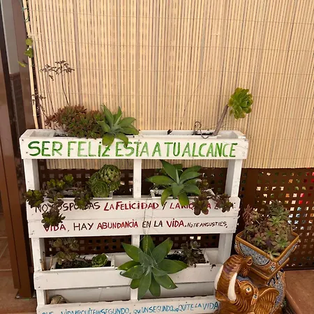 Salamandra Appartement *