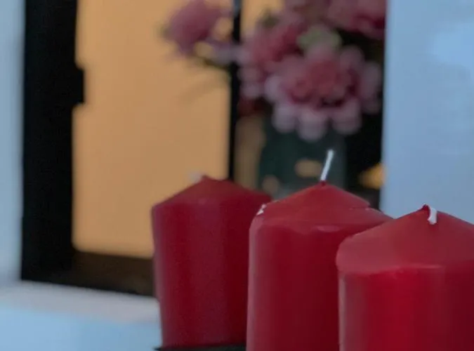 Salamandra * Carboneras