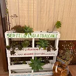 Salamandra Lejlighed *