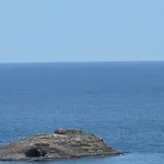 Salamandra * Carboneras